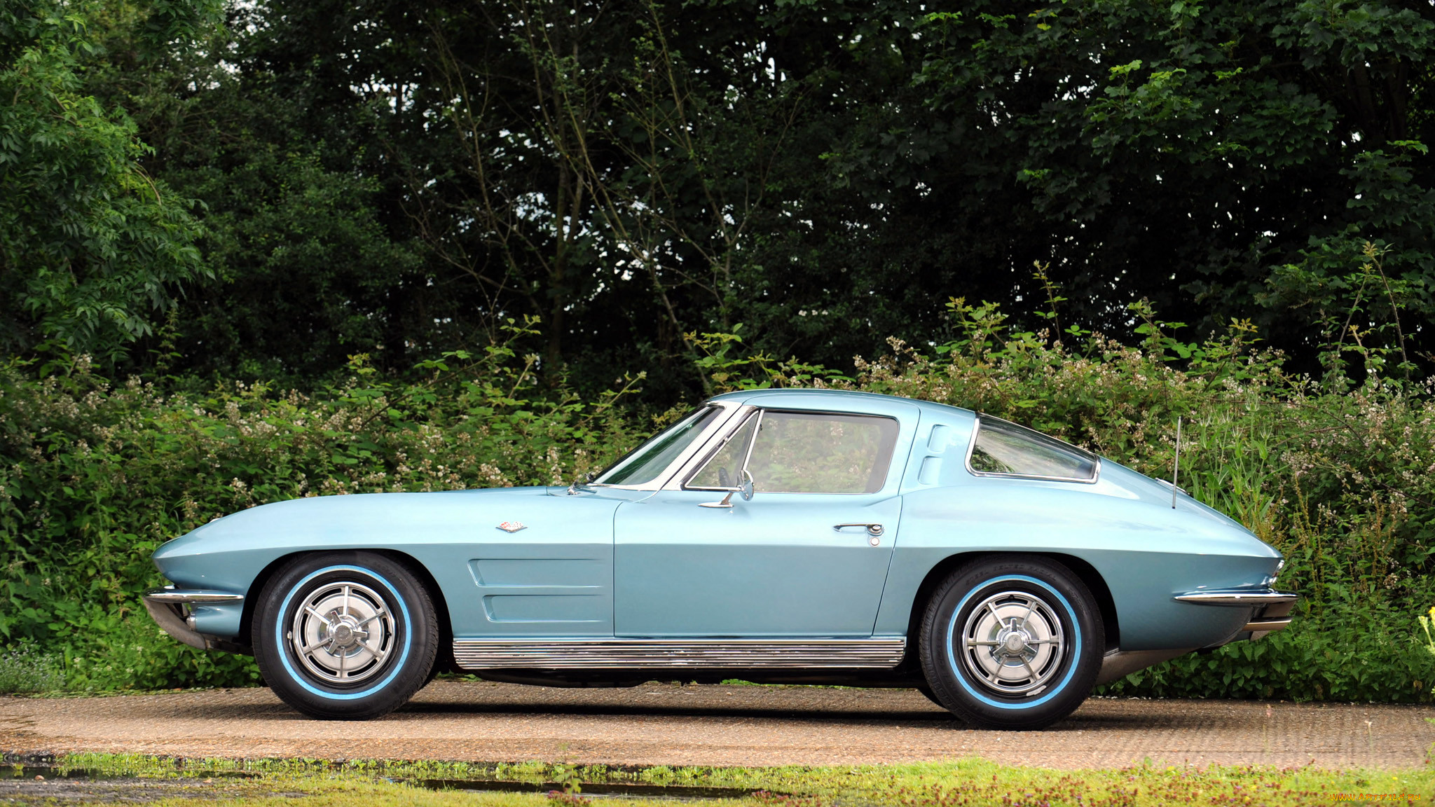 corvette, , , gm, chevrolet, division